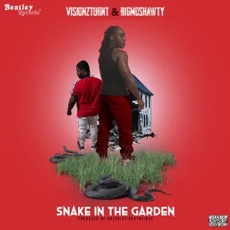 Snake In The Garden by Visionz2turnt