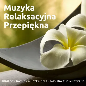 Muzyka Relaksacyjna Przepiękna: Odgłosy Natury Muzyka Relaksacyjna Tło Muzyczne by Muzyka Relaksacyjna