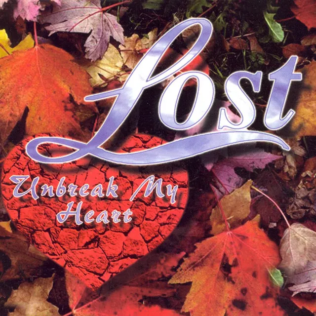 Unbreak My Heart - Lost My Heart Mix