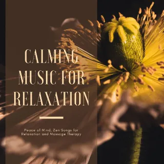 Calming Music for Relaxation: Peace of Mind, Zen Songs for Relaxation and Massage Therapy by Serenity Runaways