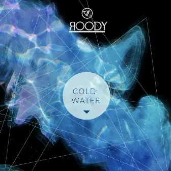 Cold Water by DJ Roody