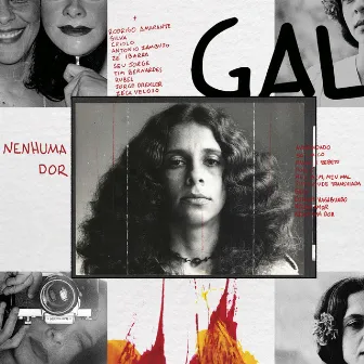 Nenhuma Dor by Gal Costa