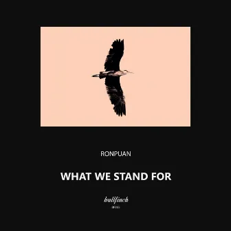 What We Stand For by Ronpuan