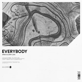 Everybody by Jerry Joxx