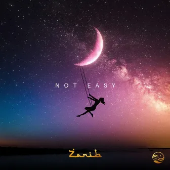 Not Easy by Zanib