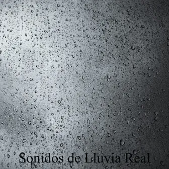 Sonidos de Lluvia Real by Lluvia Records Ra