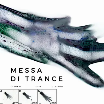 Messa Di Trance - G-Minor by Transki