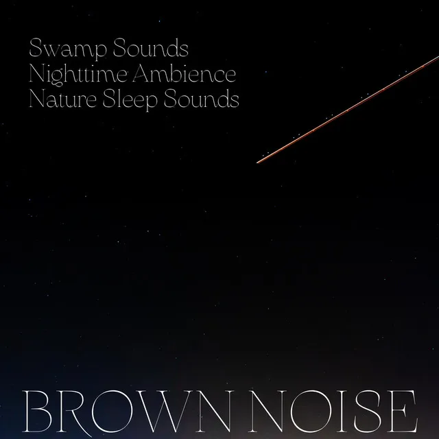 Swamp Sounds, Nighttime Ambience, Nature Sleep Sounds, Brown Noise, Loopable