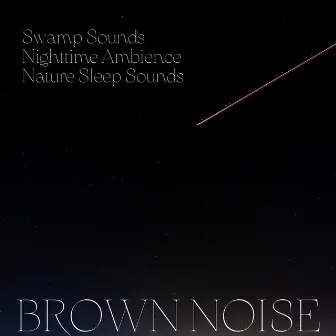 Swamp Sounds, Nighttime Ambience, Nature Sleep Sounds, Brown Noise, Loopable by 101 Nature Sounds