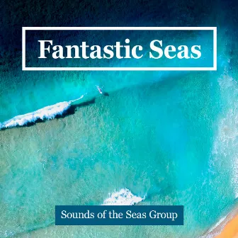 Fantastic Seas by Unknown Artist