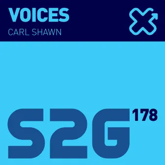 Voices by Carl Shawn