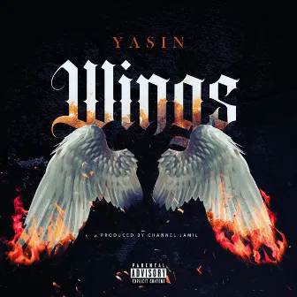 Wings by Yasin