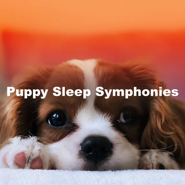 Puppy Sleep Symphonies