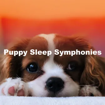 Puppy Sleep Symphonies by Puppy Sleep