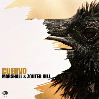 Cuervo by Zouter Kill