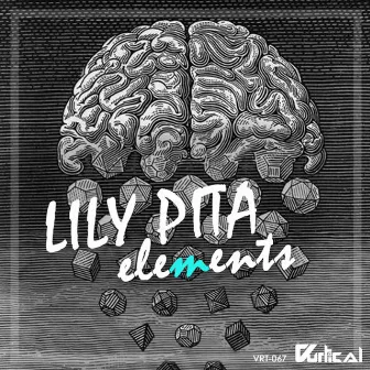 Elements by Lily Pita