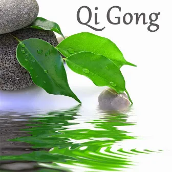 Qi Gong by Qi Gong Academy