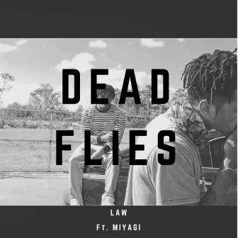 Dead Flies by LAW