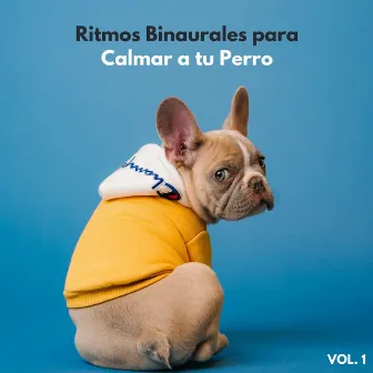 Ritmos Binaurales Para Calmar A Tu Perro Vol. 1 by Sonidos que los Perros Aman