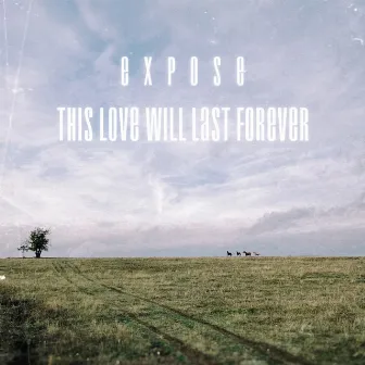 This love will last forever (feat. Ivan Jordanov - Cherry) by Expose