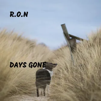 Days Gone by R.O.N