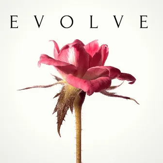 Evolve by Travis A. King