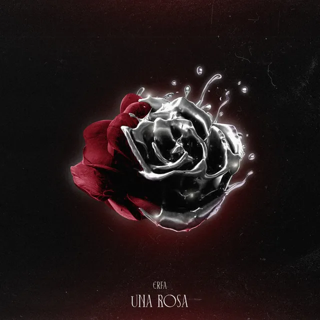 UNA ROSA