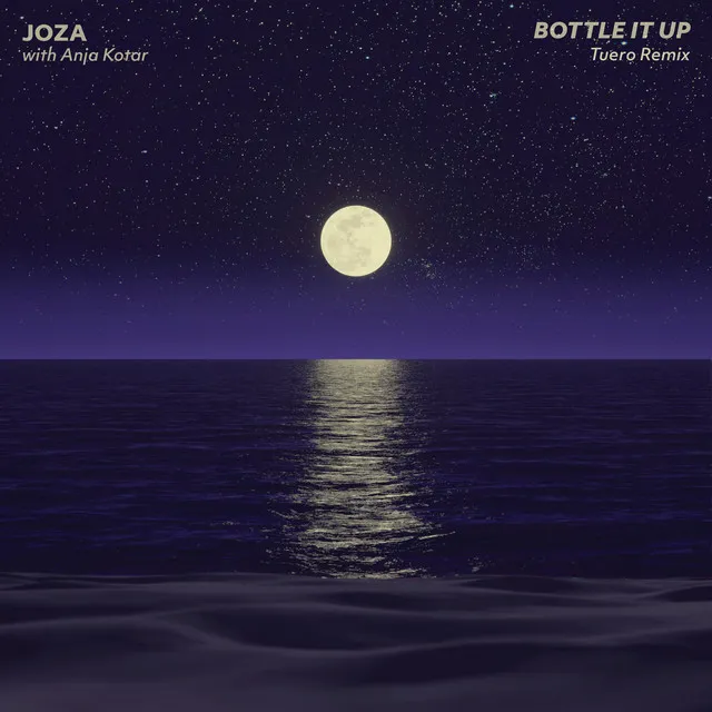 Bottle It Up [Remix] - Tuero Remix