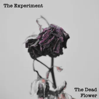 The Dead Flower by The Experiment