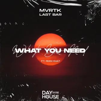 What You Need by MVRTK