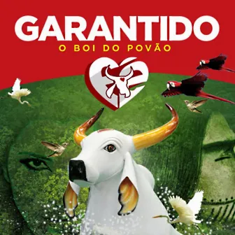 Garantido 14 - O Boi do Povão by Marcia Siqueira