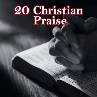 20 Christian Praise by Instrumental Worship Project