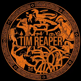 Wasting My Time (Tim Reaper Remix) by Mr. Beale