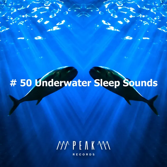 # 50 Underwater Sleep Sounds