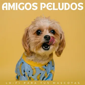 Amigos Peludos: Lofi Para Tus Mascotas by Triste chico LoFi