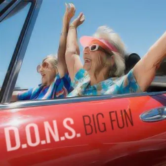 Big Fun by D.O.N.S.