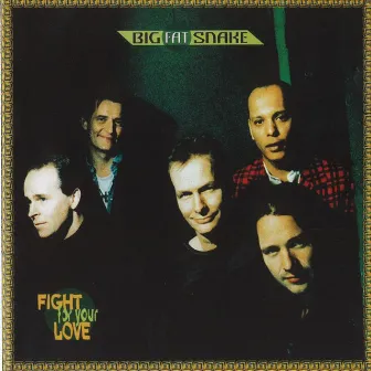 Fight For Your Love by Big Fat Snake