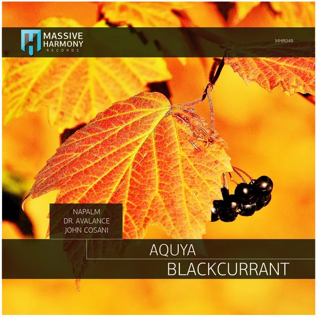 Blackcurrant - John Cosani Remix