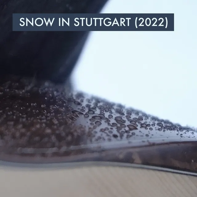 Snow in Stuttgart (2022)