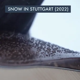 Snow in Stuttgart (2022) by Alexandr Misko