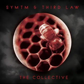 The Collective by Third Law