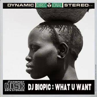 What U Want by DJ Biopic