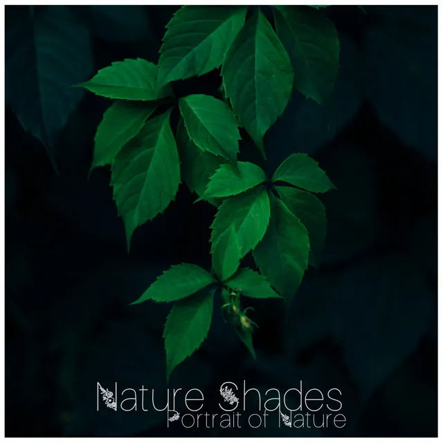 Nature Shades