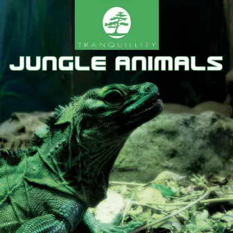 Jungle Animals by Levantis & Friends