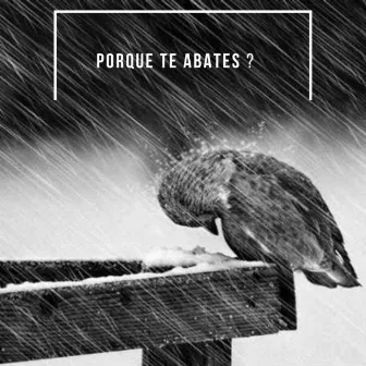 Porque Te Abates by Marcelo Gois