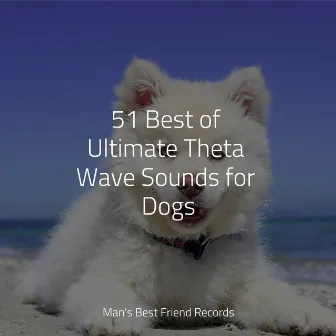 51 Best of Ultimate Theta Wave Sounds for Dogs by Jazz Music for Dogs