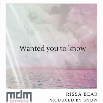 Wanted you to know by Rissa Bear