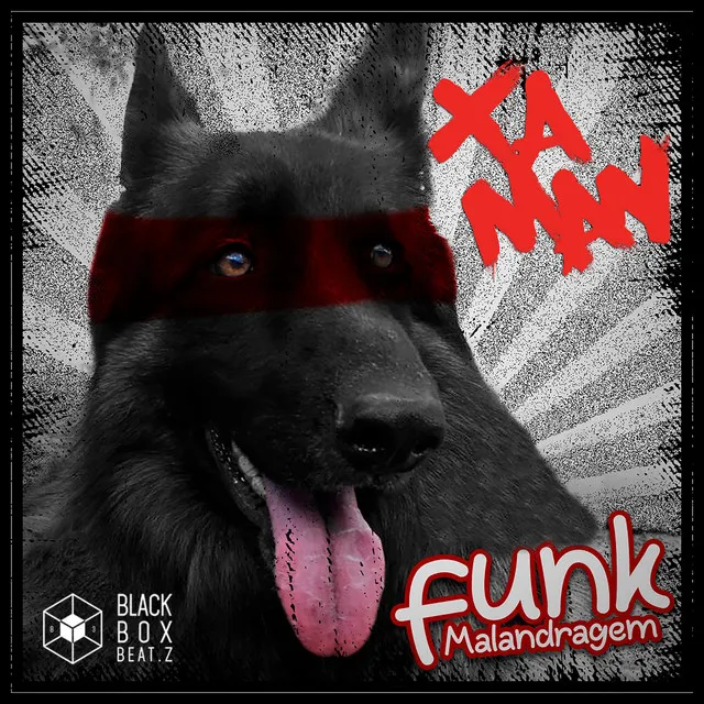 Funk Malandragem