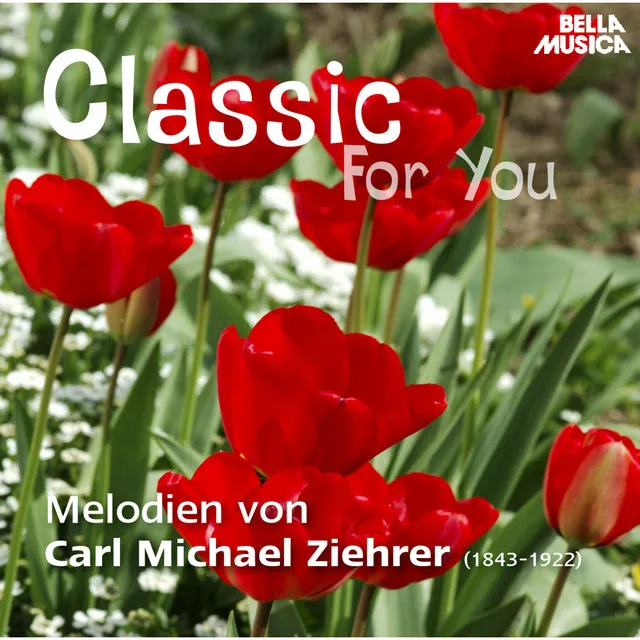 Classic for You: Ziehrer: Melodien