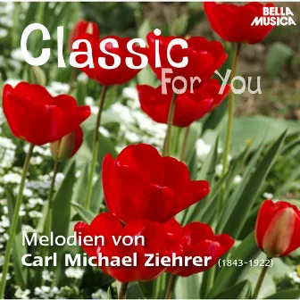 Classic for You: Ziehrer: Melodien by Ballhausorchester Pressburg